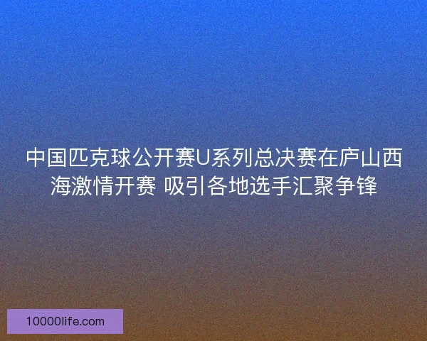 中国匹克球公开赛U系列总决赛在庐山西海激情开赛 吸引各地选手汇聚争锋